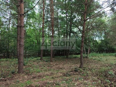 Do sprzedania działka 1030 m² w Komorowie z mediami działka Komorów