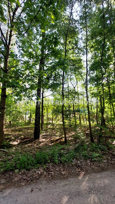 Sprzedam działkę 979 m² w Jedliczach B z warunkami zabudowy działka Jedlicze B, Leśna