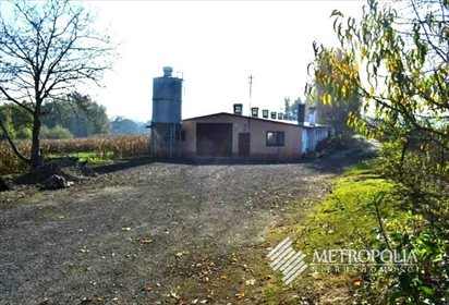 magazyn na sprzedaż 1000m2 magazyn Kaszów