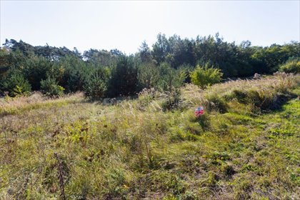 działka na sprzedaż 2336m2 działka Rosnówko