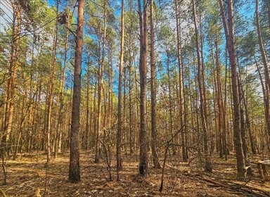 działka na sprzedaż 6636m2 działka Warszawa, Wawer, Zbójna Góra, Kwitnącej Akacji