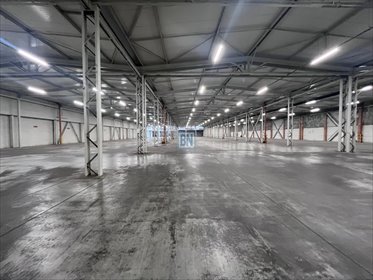 Wynajmę halę magazynową 5910 m² z biurami i placem w Zabrzu lokal użytkowy Zabrze