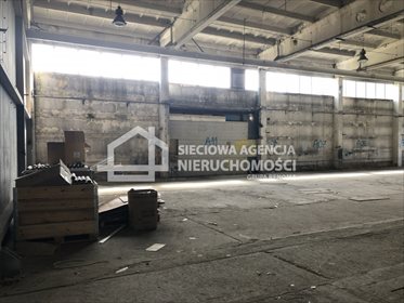 Magazyn na wynajem Gdynia, Dąbrowa 700m2 Foto 4