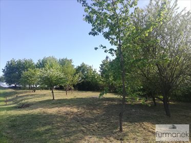 Działka rekreacyjna na sprzedaż Radzięcin 2 328m2 Foto 7