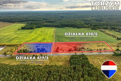Działka inwestycyjna 40,78 ha przy DK92 – potencjał! działka Torzym, Strażacka