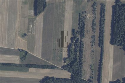 działka na sprzedaż 24900m2 działka Lipiny