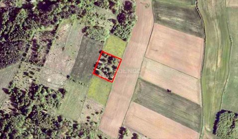 działka na sprzedaż 6649m2 działka Strzegowa