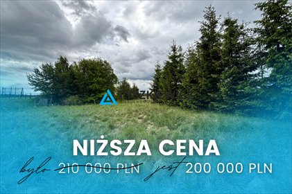 działka na sprzedaż 4300m2 działka Osowo Leśne