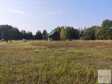 Działka 1928 m² pod dom letniskowy w cichej okolicy polecam działka pułtuski