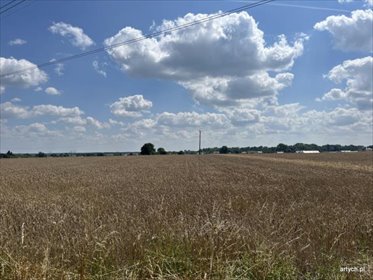 Działka 71 579 m² z zabudowaniami w Ceranowie polecam działka Ceranów