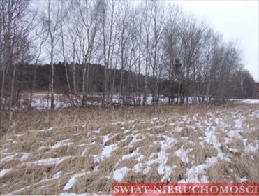 Działka budowlana na sprzedaż Skoroszów 6 300m2 Foto 5