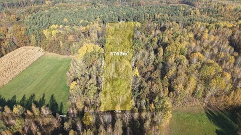 Sprzedam leśną działkę 5767 m² w Strzeszewie działka Strzeszewo