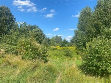 działka na sprzedaż 4234m2 działka Żory, Kradziejówka