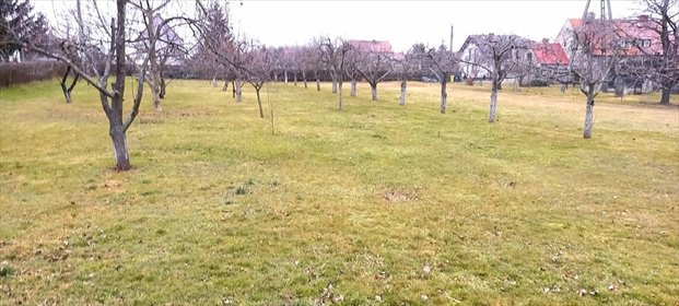 Działka budowlana 1000 m² w Kostrzy - zapraszam działka Kostrza