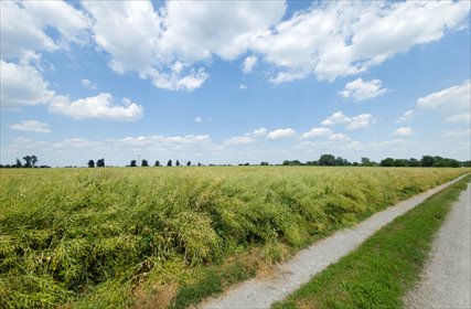 Działka inwestycyjna 1,17 ha Przeworsk MPZP działka Przeworsk