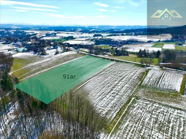 działka na sprzedaż 9103m2 działka Lichwin