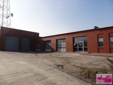 lokal użytkowy na wynajem 800m2 lokal użytkowy Włocławek, Zawiśle