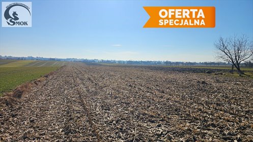 Na sprzedaż działka 1,5 ha z zabudową i zielenią w Smrokowie działka Smroków