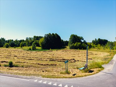 działka na sprzedaż 7894m2 działka Bełdów-Krzywa Wieś