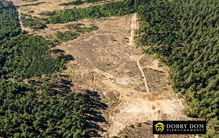 Zapraszam do zakupu działek 3200 m² blisko Zalewu Siemianówka działka Siemianówka