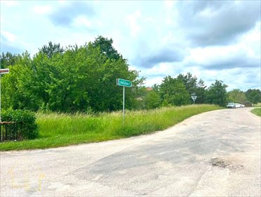 Działka 3524 m² z prądem, dojazd asfaltowy, zadrzewiona działka Skrybicze