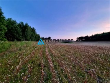 działka na sprzedaż 14730m2 działka Piechowice