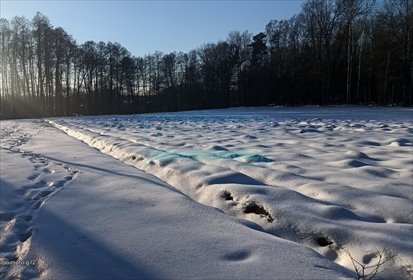 działka na sprzedaż 3077m2 działka Zalesie