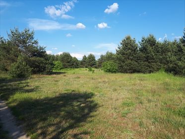 Działka budowlana na sprzedaż Wójcice, Jelcz-Laskowice 61 612m2 Foto 4