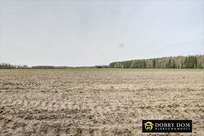 działka na sprzedaż 20000m2 działka Gregorowce