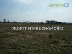 Działka inna na sprzedaż Górna Wola 2 000m2 Foto 3