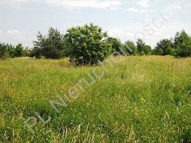 działka na sprzedaż 19400m2 działka Rusiec