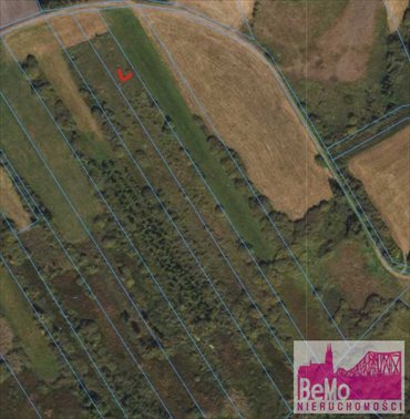 Działki rolne w Wólce od 0,48 ha z mediami w drodze działka Skępe, Wólka