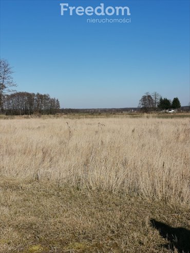 działka na sprzedaż 2500m2 działka Niedźwiedzice