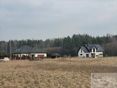 Na sprzedaż przestronna działka 4220 m² z dobrym dojazdem działka Ciągowice, Spacerowa
