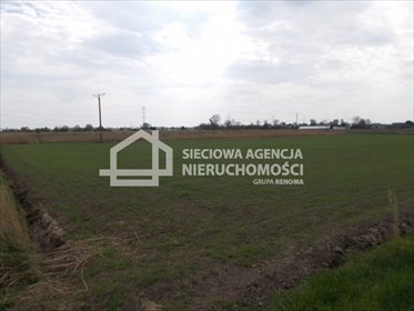 Działka rolna na sprzedaż Gdańsk, Olszynka 3 258m2 Foto 6