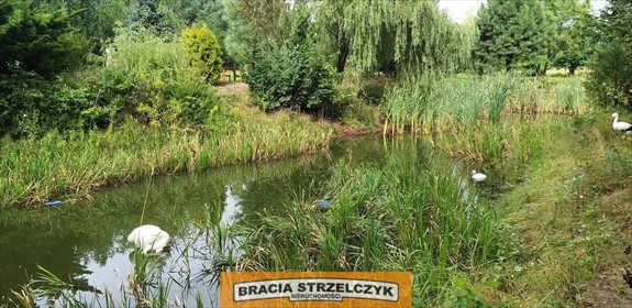 Działka siedliskowa na sprzedaż Nowe Gniewniewice 5 700m2 Foto 3