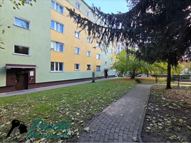 mieszkanie na sprzedaż 50m2 mieszkanie Konin, Nowy Konin, Powstańców Wielkopolskich