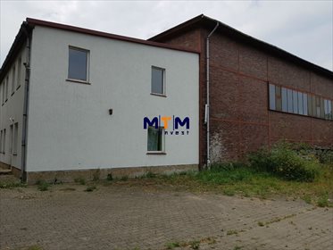 Magazyn na sprzedaż Chojna 3 656m2 Foto 4