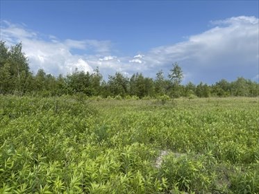 działka na sprzedaż 999m2 działka Ciemne