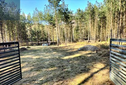 działka na sprzedaż 2000m2 działka Adamowo