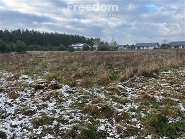 działka na sprzedaż 2000m2 działka Zamek Bierzgłowski, Sosnowa