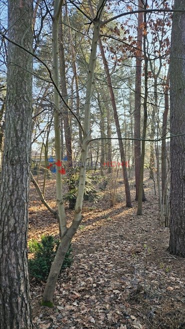 Działka budowlana na sprzedaż Piaseczno, Zalesie Dolne 1 352m2 Foto 2
