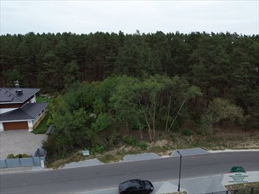 Las 7237 m² w Ciechocinku - atrakcyjna cena. działka Ciechocinek