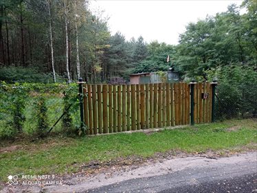 działka na sprzedaż 3000m2 działka Dalików, Ostrów, Ostrów