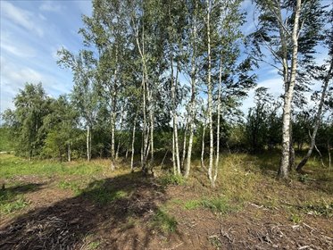 działka na sprzedaż 1000m2 działka Gdańsk, Nadrzeczna