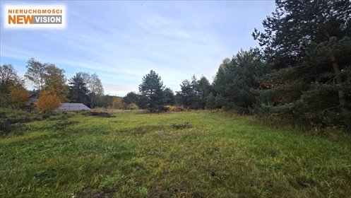 Polecam działkę 8 972 m² z domem i potencjałem inwestycyjnym działka Dąbrowa Górnicza, Gołonóg, Gwardii Ludowej