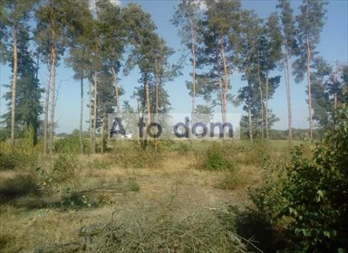 działka na sprzedaż 8800m2 działka Nadbiel