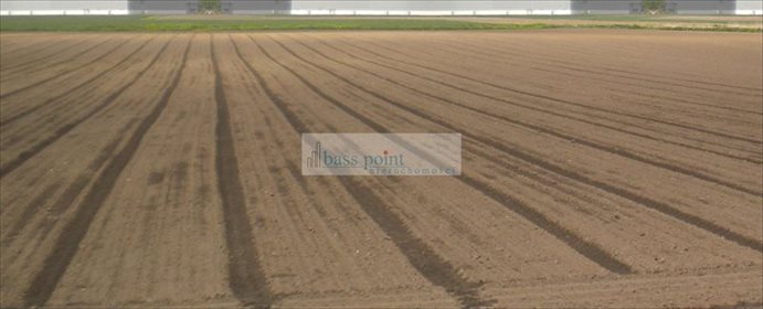 działka na sprzedaż 20000m2 działka Ołtarzew