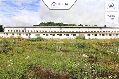 Polecam magazyn 1951 m² z pełnym uzbrojeniem i dużym potencjałem magazyn Strzyżno