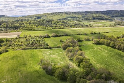 działka na sprzedaż 5015m2 działka Końskie